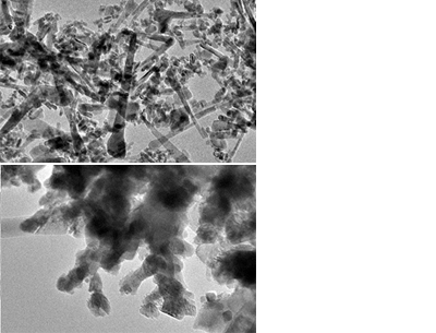 （4）Partial enhanced TEM specific chromatogram